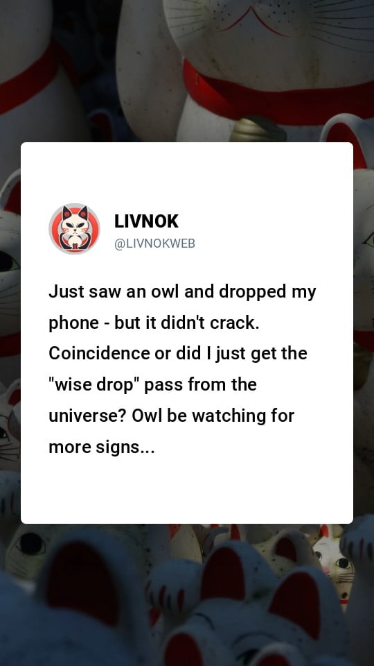 Is It Bad Luck to See Owls? Uncover the Truth Now